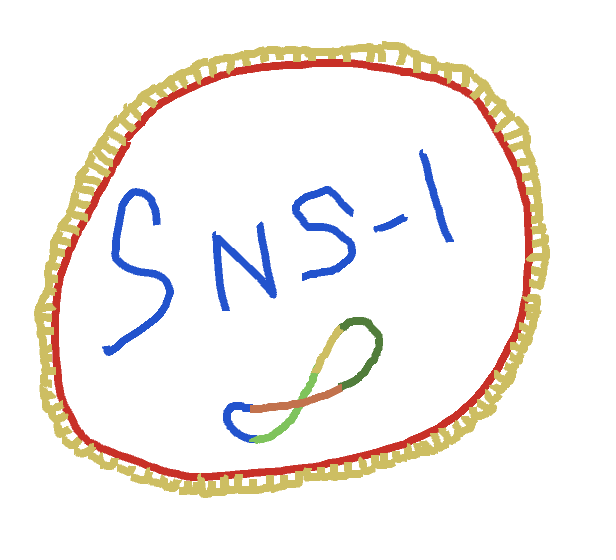 SNS-1 Logo Drop avatar