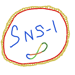 sns1ld: 6317